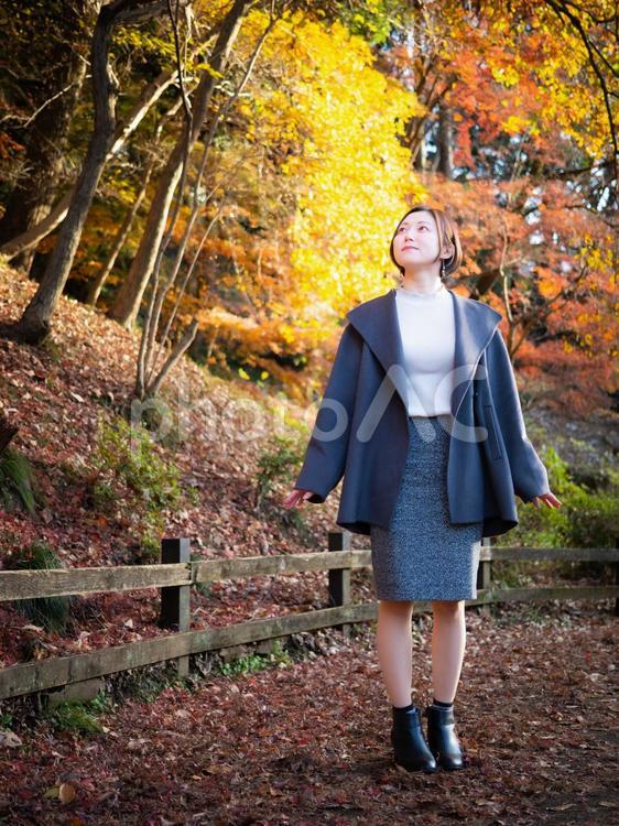 31：紅葉の公園を散策する女性 紅葉,公園,散策の写真素材