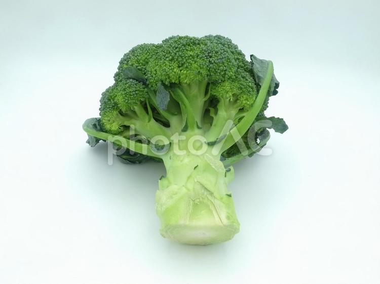 ブロッコリー　野菜　緑黄色野菜　食べ物　食材　緑　新鮮　美味しい　フレッシュ　物撮り　白背景 ブロッコリー,野菜,緑黄色野菜の写真素材