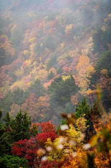 福島県　磐梯吾妻スカイラインの風景 磐梯吾妻スカイライン,福島,福島県の写真素材