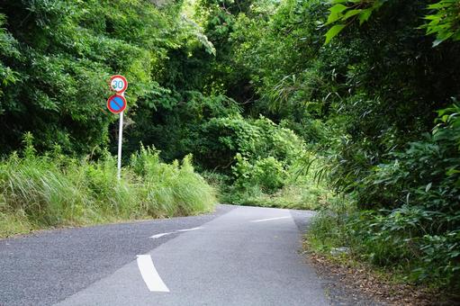 森の中の道路風景 森の中の道路風景の写真