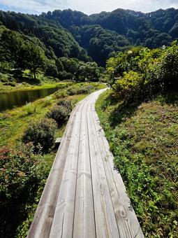 新潟県湯沢高原遊歩道 新潟県湯沢高原遊歩道 新潟県,越後湯沢,湯沢高原の写真素材