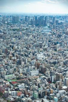 大都市の広がる眺望 都市,街並み,風景の写真素材