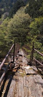Photo, bridge, rough, wood, 