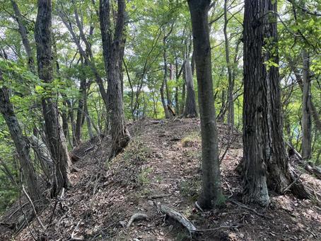 菊花山のハイキング風景 菊花山のハイキング風景 菊花山,ハイキング,山梨の写真素材