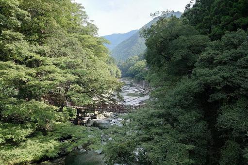 徳島県-祖谷のかずら橋 徳島県-祖谷のかずら橋の写真