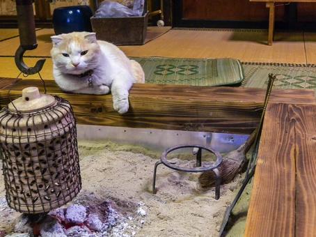 囲炉裏端 囲炉裏端 囲炉裏,猫,話し相手の写真素材