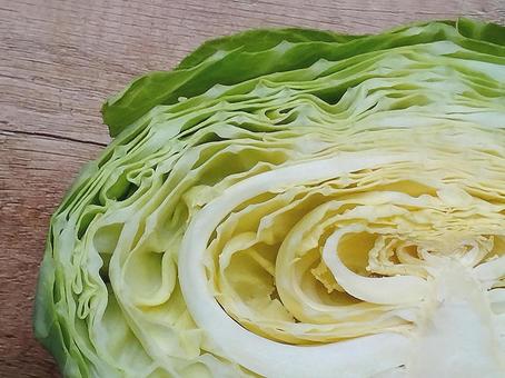 カットキャベツの断面 キャベツ,カットキャベツ,キャベツの断面の写真素材
