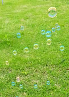 Photo, soap bubble, green, grass, 