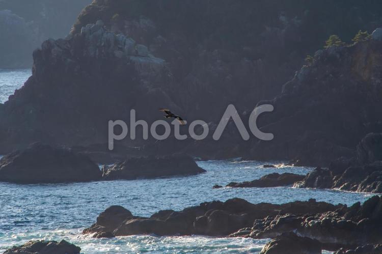紀伊大島からの風景とトビ 海,波,紀伊大島の写真素材