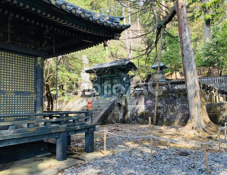 日光東照宮　奥宮宝塔の門 日光東照宮,世界遺産,栃木県日光市の写真素材