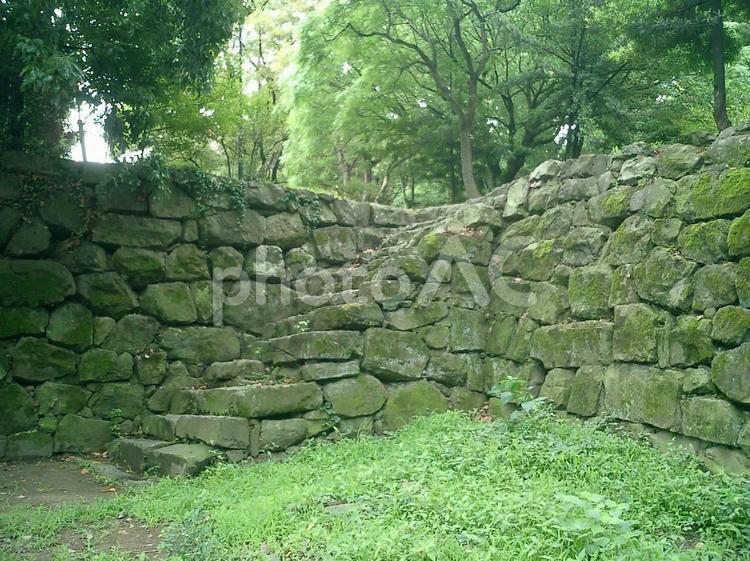 和歌山城南の丸の石垣 和歌山城の写真素材