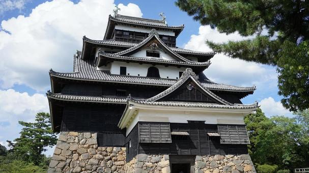 国宝・松江城 国宝・松江城 松江城,城,国宝の写真素材