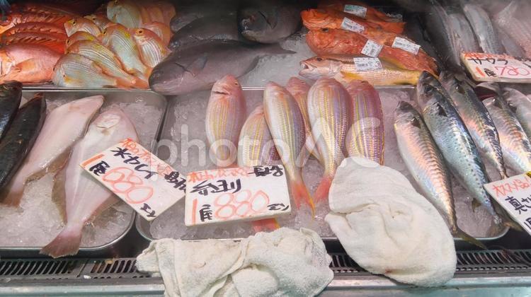 魚　鮮魚　　 魚,鮮魚,売り場の写真素材