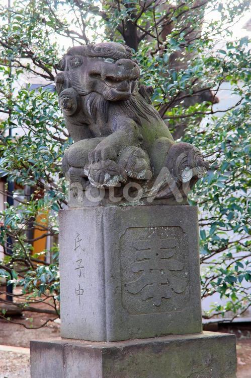 六所神社（世田谷） 六所神社,武蔵総社六所宮分霊,天照皇大神の写真素材