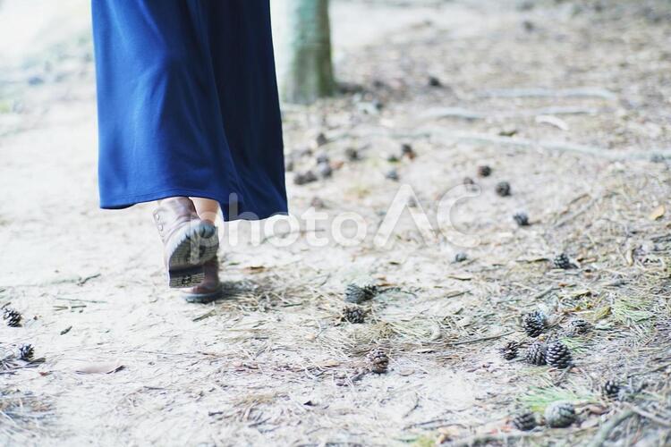 松ぼっくりと女の子の足元 逆光,背景,風景の写真素材