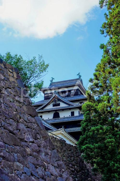 島根県松江市の国宝「松江城」 松江城,国宝,松江の写真素材
