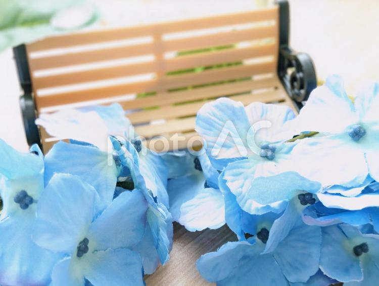 梅雨イメージ（あじさい）3 あじさい,紫陽花,夏の写真素材