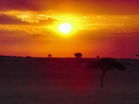 サバンナの夕焼けの写真