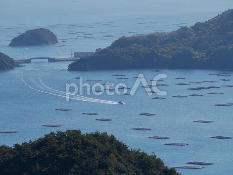 牡蠣いかだ 牡蠣いかだ,牡蠣,いかだの写真素材