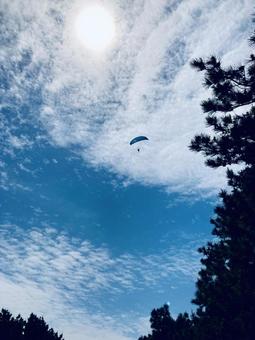 大空 大空の写真