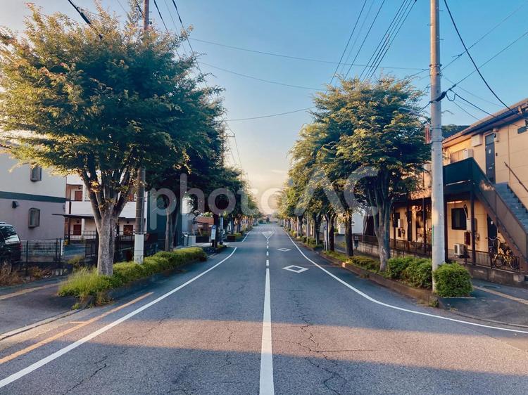 早朝のエモい住宅街　横 早朝,住宅街,街中の写真素材