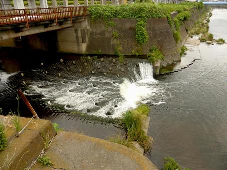 横浜市栄区、柏尾川に流れ込むいたち川 川,河川,支流の写真素材