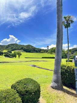 公園 夏の風景 公園 夏の風景 太地町森浦,公園,公共施設の写真素材