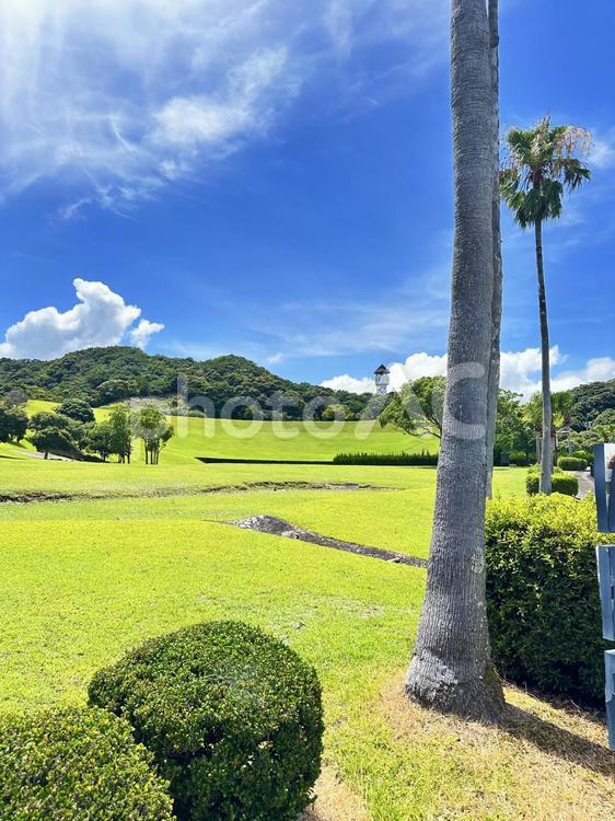 公園　夏の風景 太地町森浦,公園,公共施設の写真素材