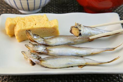 子持ちししゃも 子持ちししゃも 子持ちししゃも,ししゃも,魚の写真素材