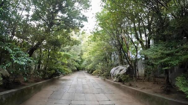 東京都港区高輪３丁目　東禅寺の参道 東禅寺,山門,外観の写真素材