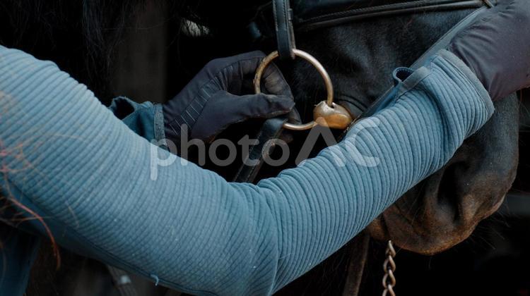 格好いい黒い馬の口元と人の手 馬,馬の顔,アップの写真素材