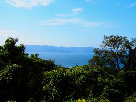 青空と海と森 青空と海と森 海,空,森の写真素材