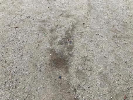 砂地フィールド背景素材 砂地フィールド背景素材の写真