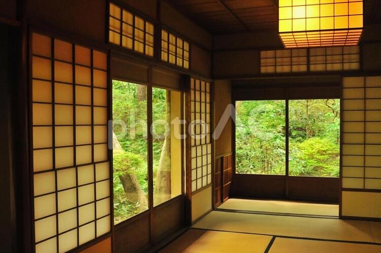 和室/庭園/日本家屋 和室,庭園,日本庭園の写真素材