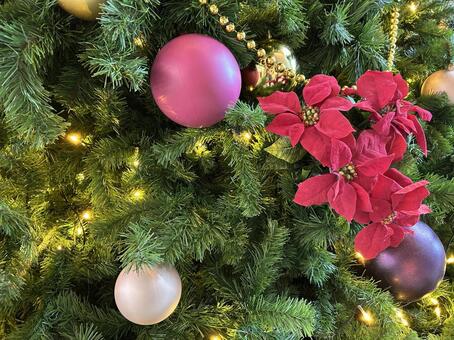 クリスマス クリスマス,クリスマスツリー,ツリーの写真素材