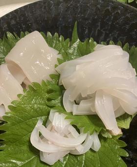 イカの刺身 イカの刺身の写真