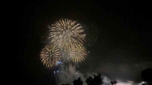 花火 花火 花火,夏,打ち上げ花火の写真素材