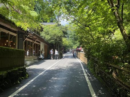 貴船 貴船,京都,青もみじの写真素材