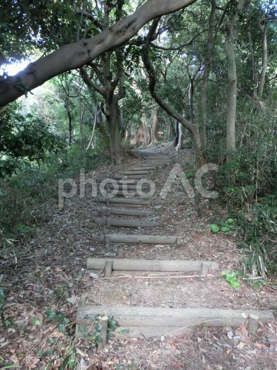 米子城への散歩道（米子城址・湊山公園） ウォーキングコース,ハイキング,久米城の写真素材