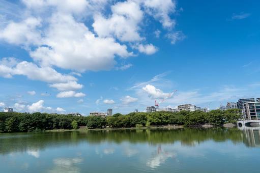 大濠公園を散歩する 大濠公園を散歩する 大濠公園,公園,博多の写真素材