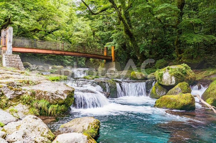 熊本県菊池市【菊池渓谷】9 渓谷,川,光芒の写真素材