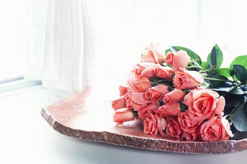 Photo, roses, flower, red, 