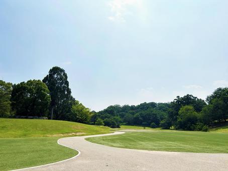 きれいに整備された公園の遊歩道 きれいに整備された公園の遊歩道 遊歩道,歩道,小道の写真素材