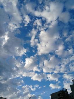 夏の空と雲の写真