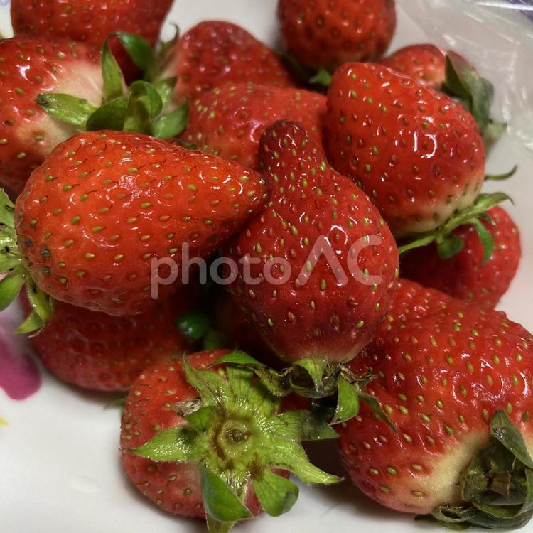 いちご　お花の皿　アップ 苺,イチゴ,ストロベリーの写真素材