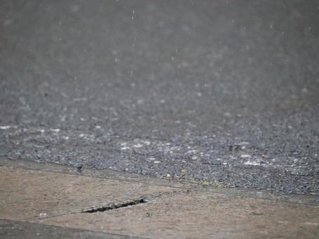 雨の日 自然,幻想的,風景の写真素材