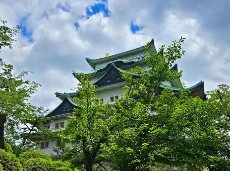 名古屋城 名古屋城 名古屋城,城,名古屋の写真素材
