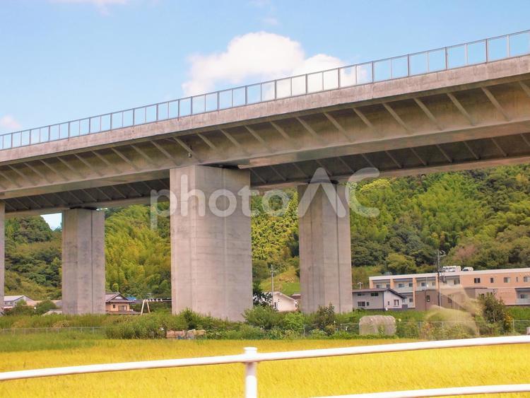 稲穂の黄金の色と第二東名高速道路橋梁 橋,道路,第二東名高速道路の写真素材