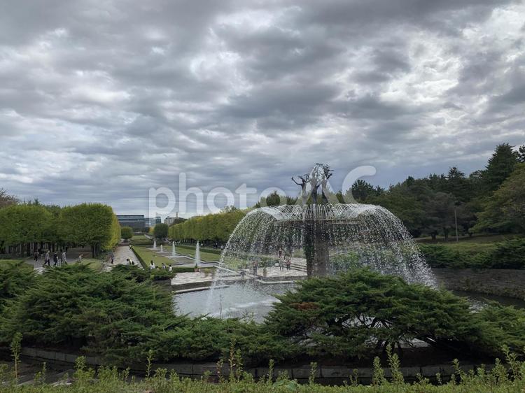 初秋の昭和記念公園 昭和記念公園,立川,秋の写真素材