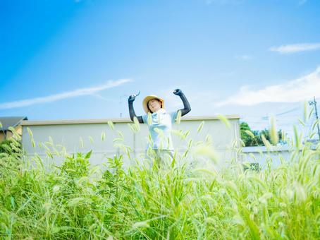 35：草むしりをする女性 草刈り,雑草,庭仕事の写真素材